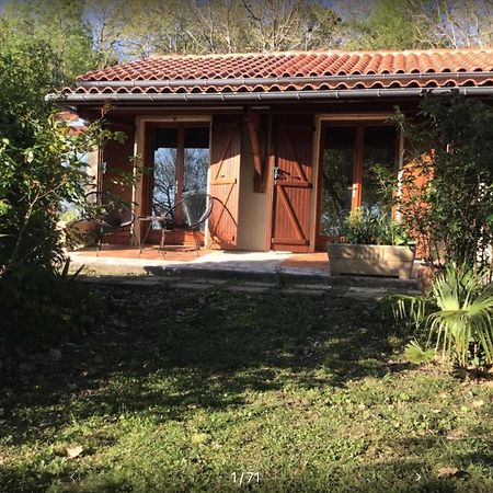 Le Gite De Gascogne Lectoure Bagian luar foto
