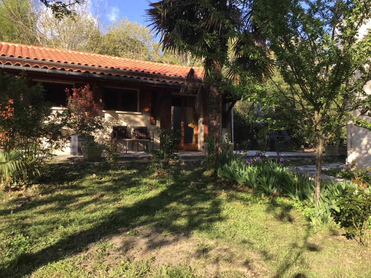 Le Gite De Gascogne Lectoure Bagian luar foto