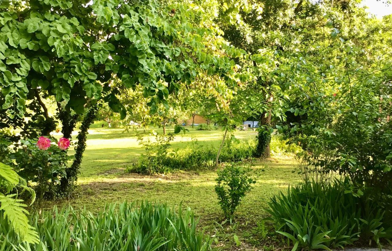 Le Gite De Gascogne Lectoure Bagian luar foto